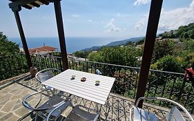 Guest House Pafili