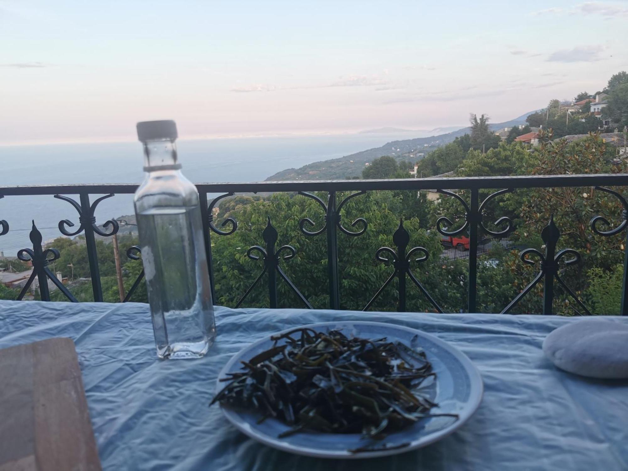 Guest House Pafili Ζαγορά Εξωτερικό φωτογραφία