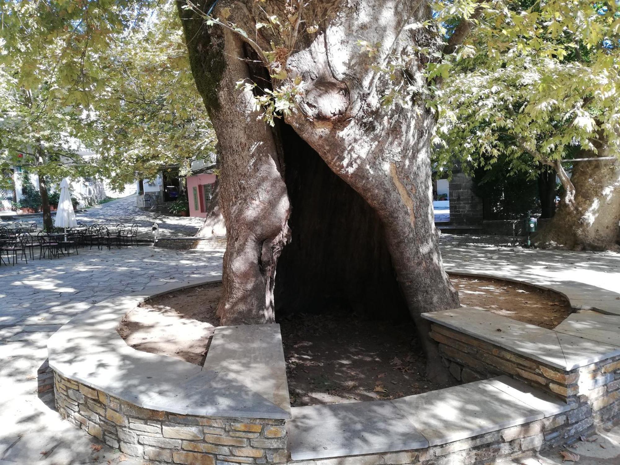 Guest House Pafili Ζαγορά Εξωτερικό φωτογραφία