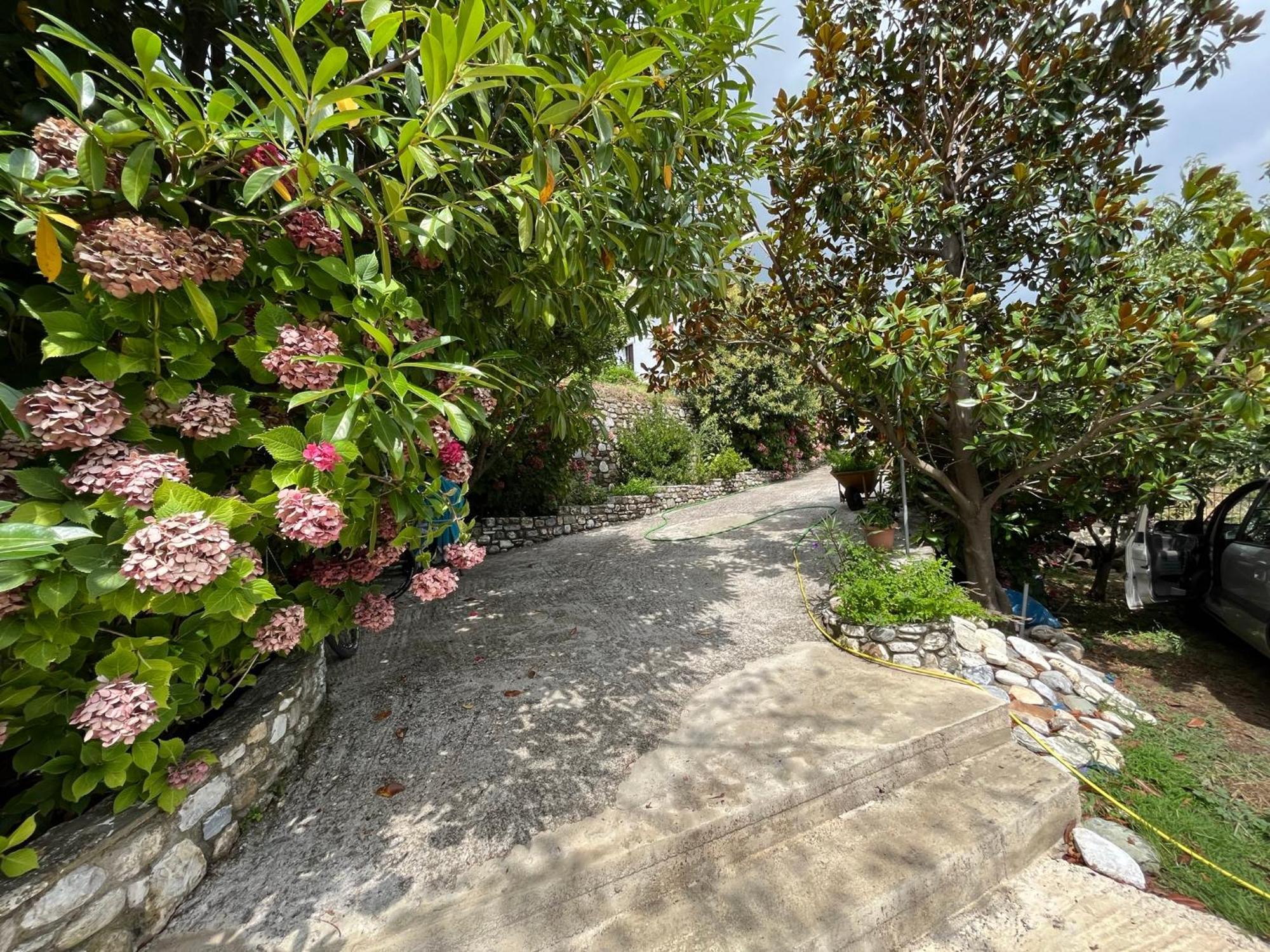 Guest House Pafili Ζαγορά Εξωτερικό φωτογραφία